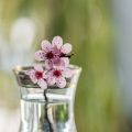 Wasserläufe gezielt für Harmonie und Wohlstand einsetzen