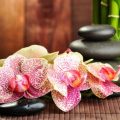 Spiegelflächen im Eingangsbereich: Chancen und Risiken im Feng Shui
