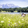 Schloss Neuschwanstein: Eine tiefgehende Analyse der Gestaltung nach traditionellen und modernen Feng-Shui-Kriterien