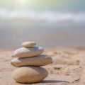 Die Grundlagen der Feng Shui-Pflanzenwahl im deutschen Garten: Theorie und Praxis