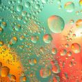 Wasser als zentrales Element: Bachläufe und Teiche optimal positionieren