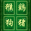Feng Shui in deutschen Mietwohnungen: Leserprojekte und Erfahrungsberichte aus dem Alltag