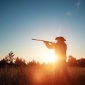 Die Kraft der Elemente: Die fünf Feng Shui Elemente im Altarbereich authentisch integrieren