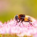 Lüften, Heizen und Wohlbefinden: Wie das deutsche Klima den Energiefluss in Innenräumen beeinflusst