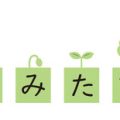 Aufbewahrung, Ordnung und Minimalismus: Deutsche Ordnungsliebe aus Sicht des Feng Shui