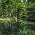 Grundlagen des Feng Shui im Garten: Wege und Wasserläufe richtig anlegen