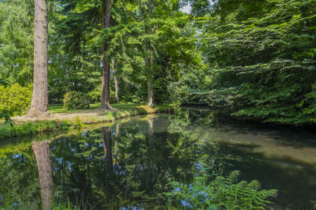 Grundlagen des Feng Shui im Garten: Wege und Wasserläufe richtig anlegen