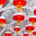 Gartengestaltung nach Feng Shui: Deutsche Leser berichten von ihren Projekten