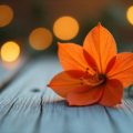 Wie beeinflusst Tageslicht das Chi im Kinderzimmer?