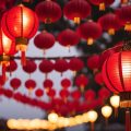 Fehlerquellen: Typische Missverständnisse beim Setzen von Zäunen im Feng Shui