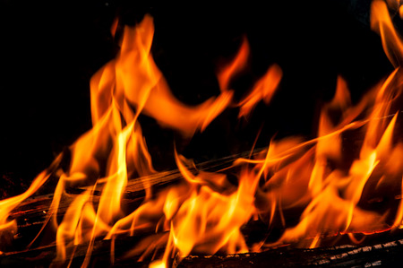 Feng Shui-Elemente im Überblick: Harmonie zwischen Erde, Wasser, Feuer, Holz und Metall im Außenbereich