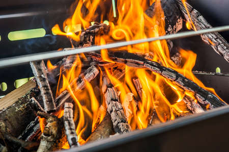 Das Element Feuer: Energie, Transformation und ihre Rolle in Wohn- und Arbeitsräumen