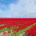 Reinigung und Ordnung: Einfluss von Sauberkeit und Pflege auf die Energie im Eingangsbereich