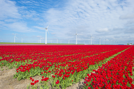 Reinigung und Ordnung: Einfluss von Sauberkeit und Pflege auf die Energie im Eingangsbereich