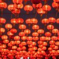 Natürliche Baumaterialien und ihre Bedeutung für Feng Shui und Gesundheit