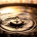 Die Integration von Wasser- und Steinelementen in Gartenbegrenzungen
