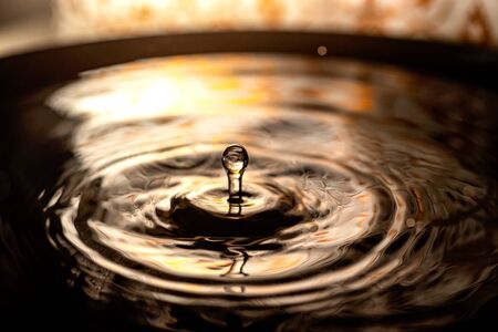 Die Integration von Wasser- und Steinelementen in Gartenbegrenzungen
