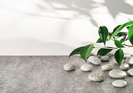Ein Umzug als Chance: Neue Lebensphase, neue Energie mit Feng Shui