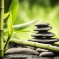 Feng Shui im Büro: Moderne Konzepte im deutschen Arbeitsumfeld