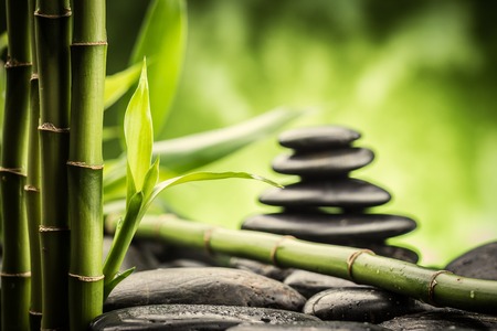 Feng Shui im Büro: Moderne Konzepte im deutschen Arbeitsumfeld