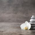 Wie gehen deutsche Feng Shui-Berater mit Skepsis um? Praxislösungen und Erfahrungsberichte