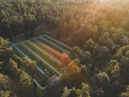 Schattige und sonnige Standorte – Die optimale Kombination von Pflanzenelementen im Außenbereich